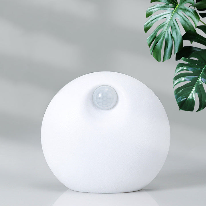 Home Litter Basin Companion Air Purifier